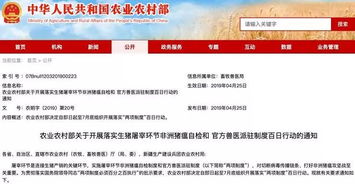 多地強化生豬產品監管，非洲豬瘟防控體系全面升級