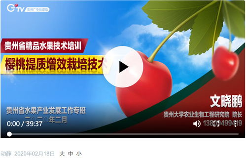 櫻桃提質增效栽培技術培訓在貴州啟動 助力精品水果產業發展與病蟲害科學防控